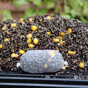 Hemp Buckwheat & Maize