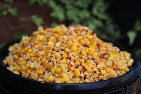 Prepared Chilli Maize